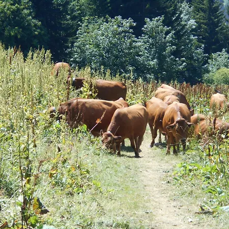 شقة Le Cheval Blanc E7